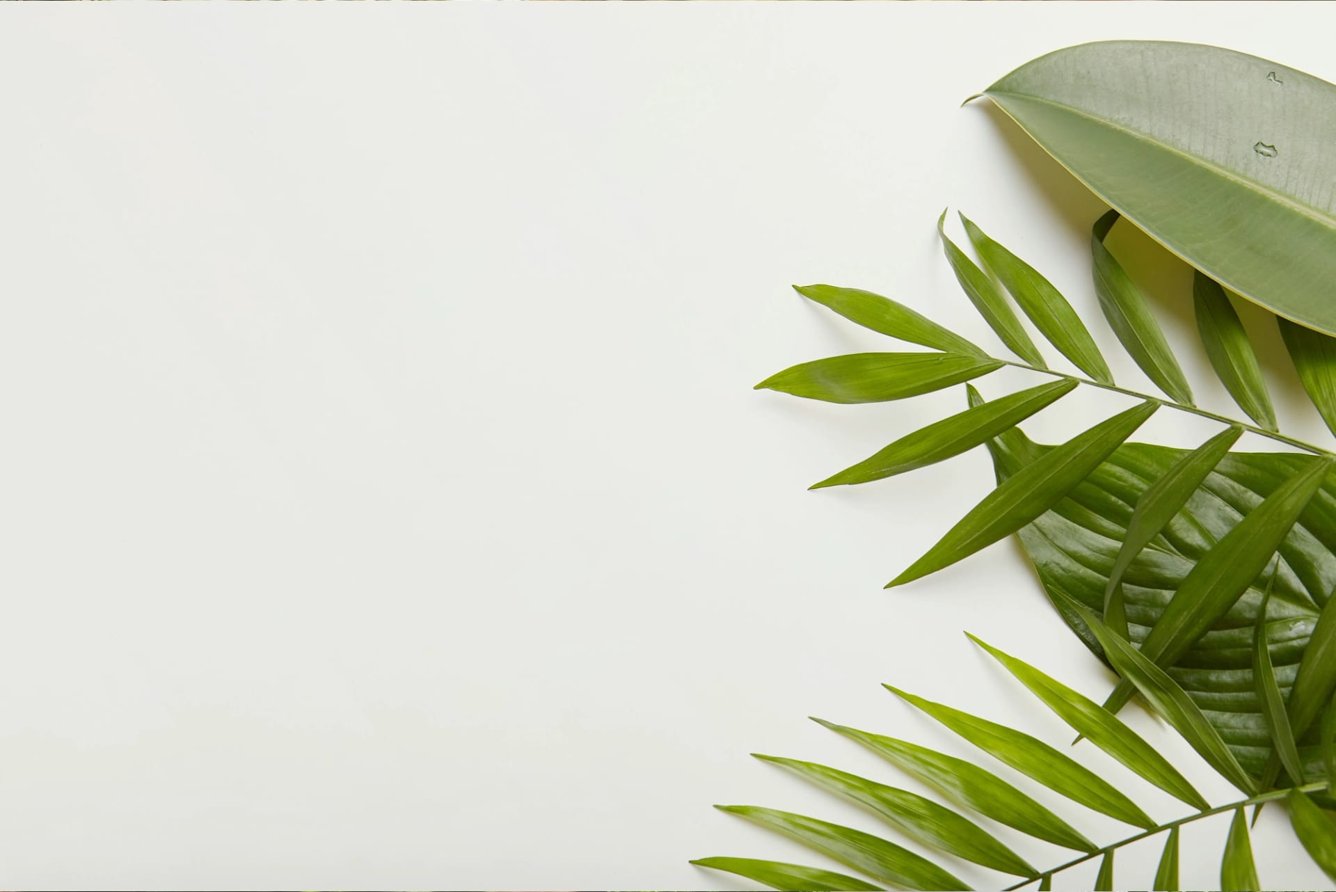 Jardin paysager moderne au Maroc