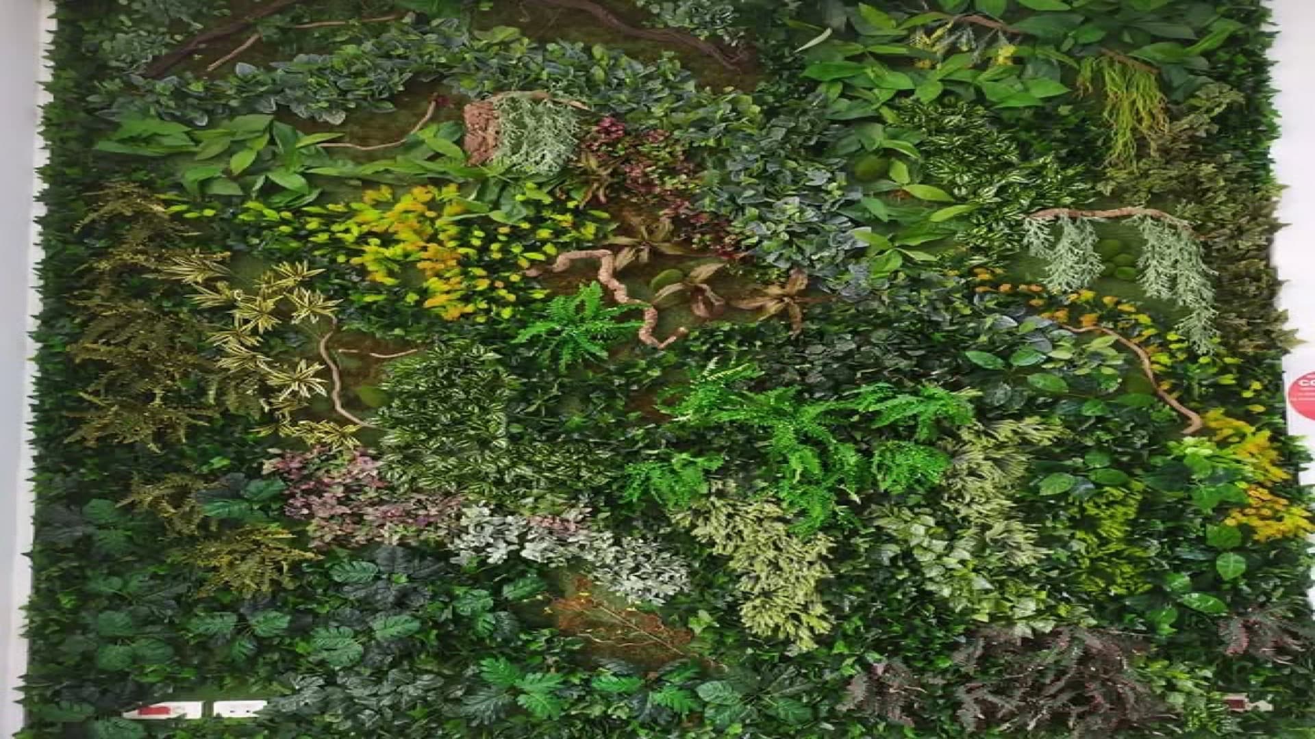 Mur Végétal - Casanearshore