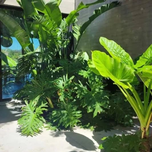 Projets jardin clé-en-main